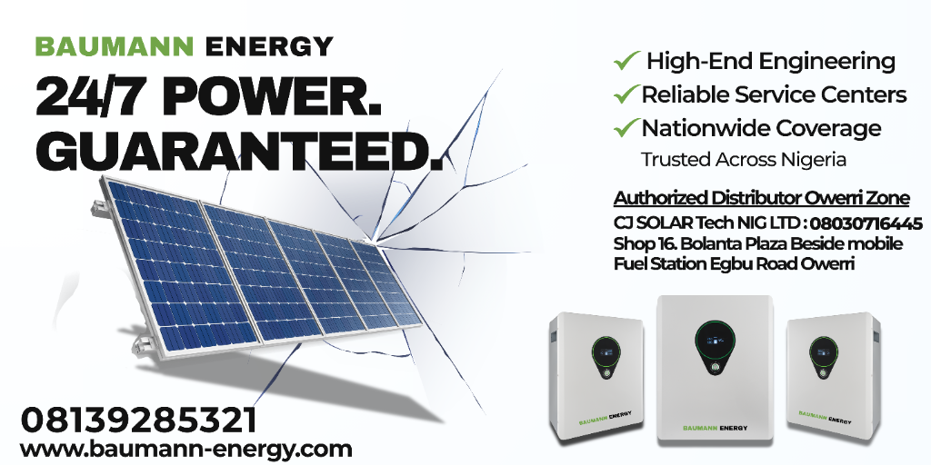 Baumann Energy Flyer
